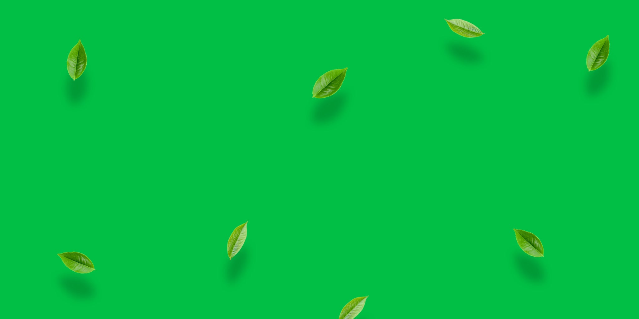 banner-contact.jpg