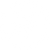 ic-lice.png